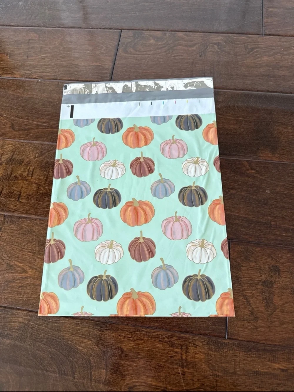 40 Pack - 10x13” Super Fun ALL Pumpkins Poly Mailers